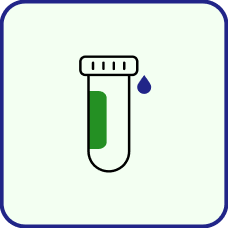 DHEA-S Test