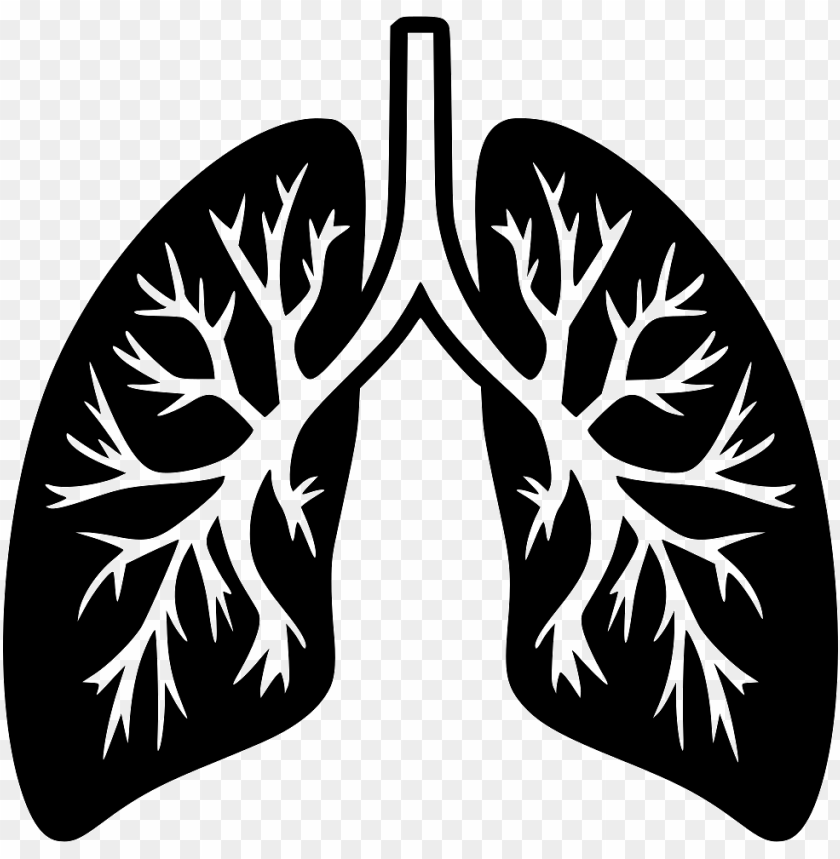 Pulmonology