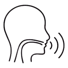 Speech therapists