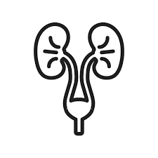 Urologists