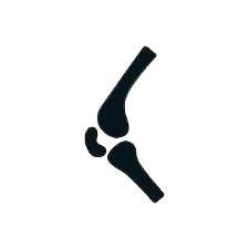 Orthopedists - Traumatologists