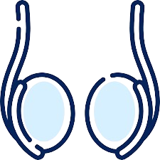 Testicular lumps and swellings