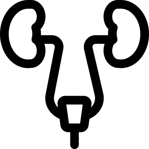 Urinary tract infection (UTI)